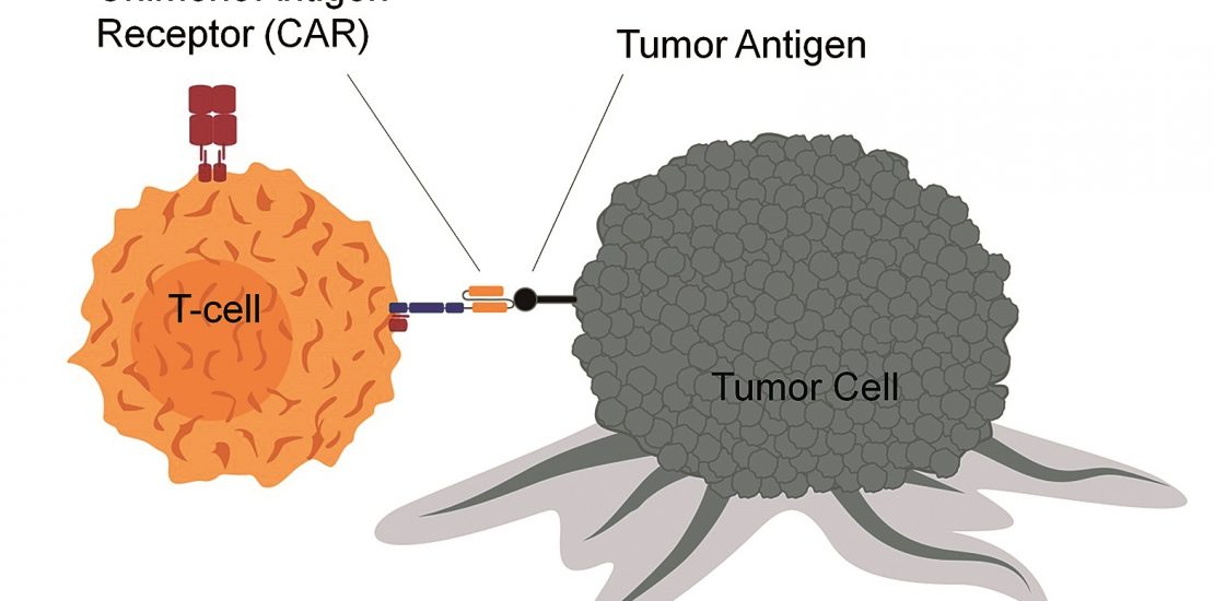 Immuno Wurzburguniv Cars6121092132 1 1110x550 1